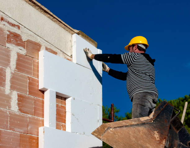 Best Home Insulation Services  in Regency At Monroe, NJ